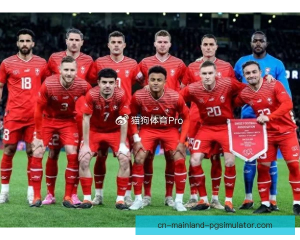 瑞士国家队队史档案整理，经典战役重新梳理